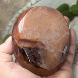 Carnelian Mushroom Bowl~CRCBOWL3
