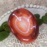 Carnelian Mushroom Bowl~CRCBOWL4