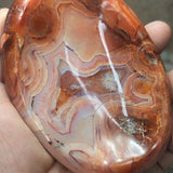 Carnelian Mushroom Bowl~CRCBOWL5