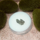 Moldavite Specimen~CRMOLDS2