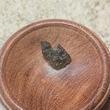 Moldavite Specimen~CRMOLDS2