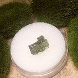 Moldavite Specimen~CRMOLDS4