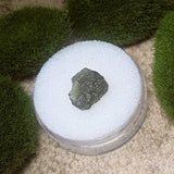 Moldavite Specimen~CRMOLDS6
