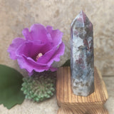 Indicolite & Rubellite Generator~CRINRB08