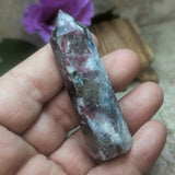 Indicolite & Rubellite Generator~CRINRB08