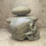 Serpentine Skull~CRSERPSK