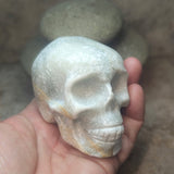 Marble Skull~CRMSKUL2