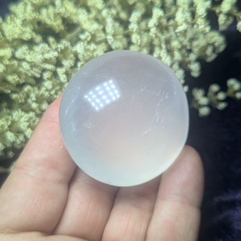 Metamorphosis Quartz Palm Stone~CRMQPS09