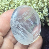 Metamorphosis Quartz Palm Stone~CRMQPS13