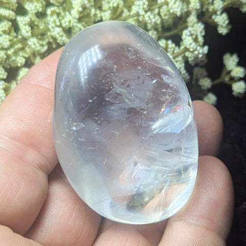 Metamorphosis Quartz Palm Stone~CRMQPS15