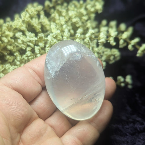 Metamorphosis Quartz Palm Stone~CRMQPS20