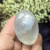 Metamorphosis Quartz Palm Stone~CRMQPS20