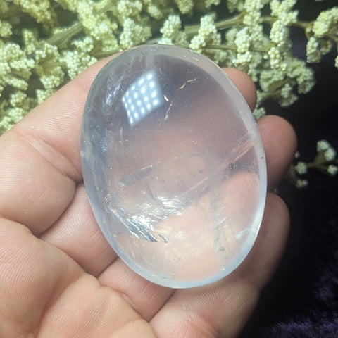 Metamorphosis Quartz Palm Stone~CRMQPS22