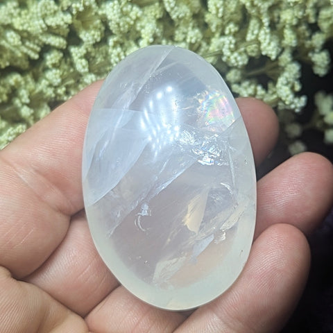 Metamorphosis Quartz Palm Stone~CRMQPS23