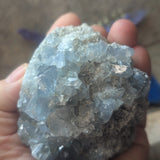 Celestite Geode~CRCELEG1