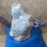 Celestite Geode~CRCELEG2