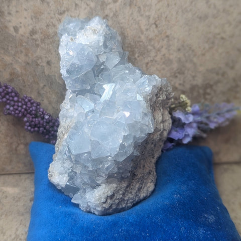 Celestite Geode~CRCELEG2