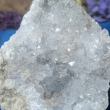 Celestite Geode~CRCELEG3