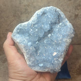 Celestite Geode~CRCELEG5