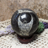 Orthoceras Fossil Sphere~CRFORTH1