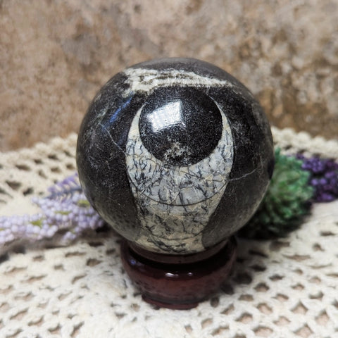 Orthoceras Fossil Sphere~CRFORTH1