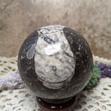 Orthoceras Fossil Sphere~CRFORTH1