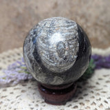 Orthoceras Fossil Sphere~CRFORTH2