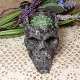 Emberlite Skull Bowl~CRESKULB