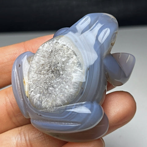 Blue Lace Agate Frog Carving~CRBLAFRG
