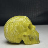 Ophiolite Skull~CROSKULL