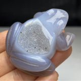Blue Chalcedony Frog Carving~CRBCFROG
