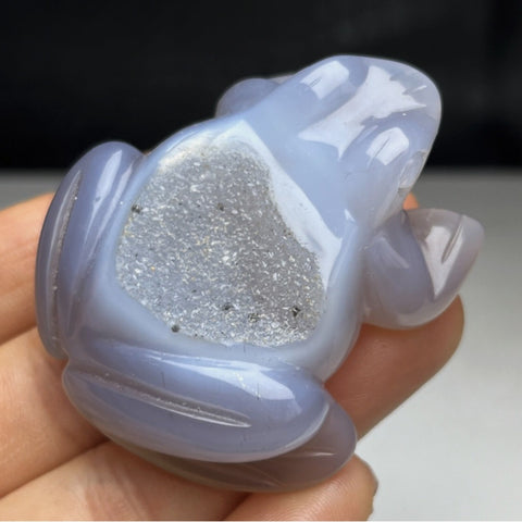 Blue Chalcedony Frog Carving~CRBCFROG