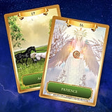 Energy Oracle Cards~Sandra Anne Taylor