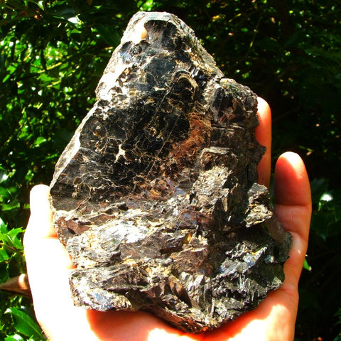 Biotite