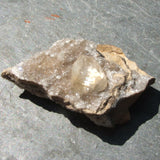Calcite Crystals on Quartz