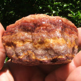 Bacon Opal