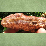 Bacon Opal