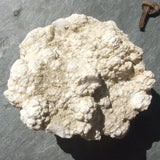 Magnesite Crystal CRMAG07