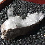 Selenite Crystals on Matrix CRSEMX01