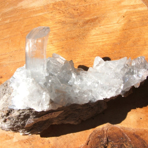 Selenite Crystals on Matrix CRSEMX01