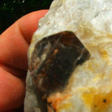 Zircon Crystal in Quartz CRZIRQU