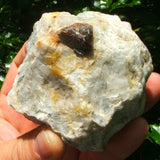Zircon Crystal in Quartz CRZIRQU