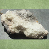Zincite/ Willemite- CRZWPA05