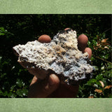Zincite/ Willemite- CRZWPA05