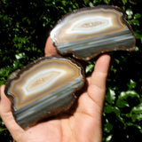 Agate Geode Halves