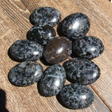 Gabbro Palm Stone CRPSGABB