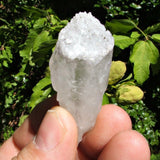 Druzy Encrusted Quartz Crystal~ CRDRZYQZ