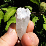 Druzy Encrusted Quartz Crystal~ CRDRZYQZ