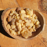 Frankincense Resin~RITFRANK