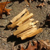 Palo Santo Sticks~RPALOSTX